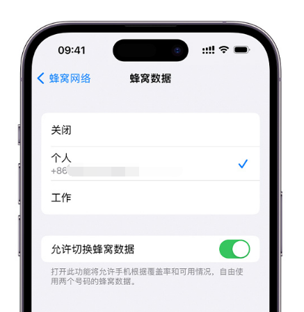 玉溪苹果维修服务分享如何在iPhone上使用双卡 